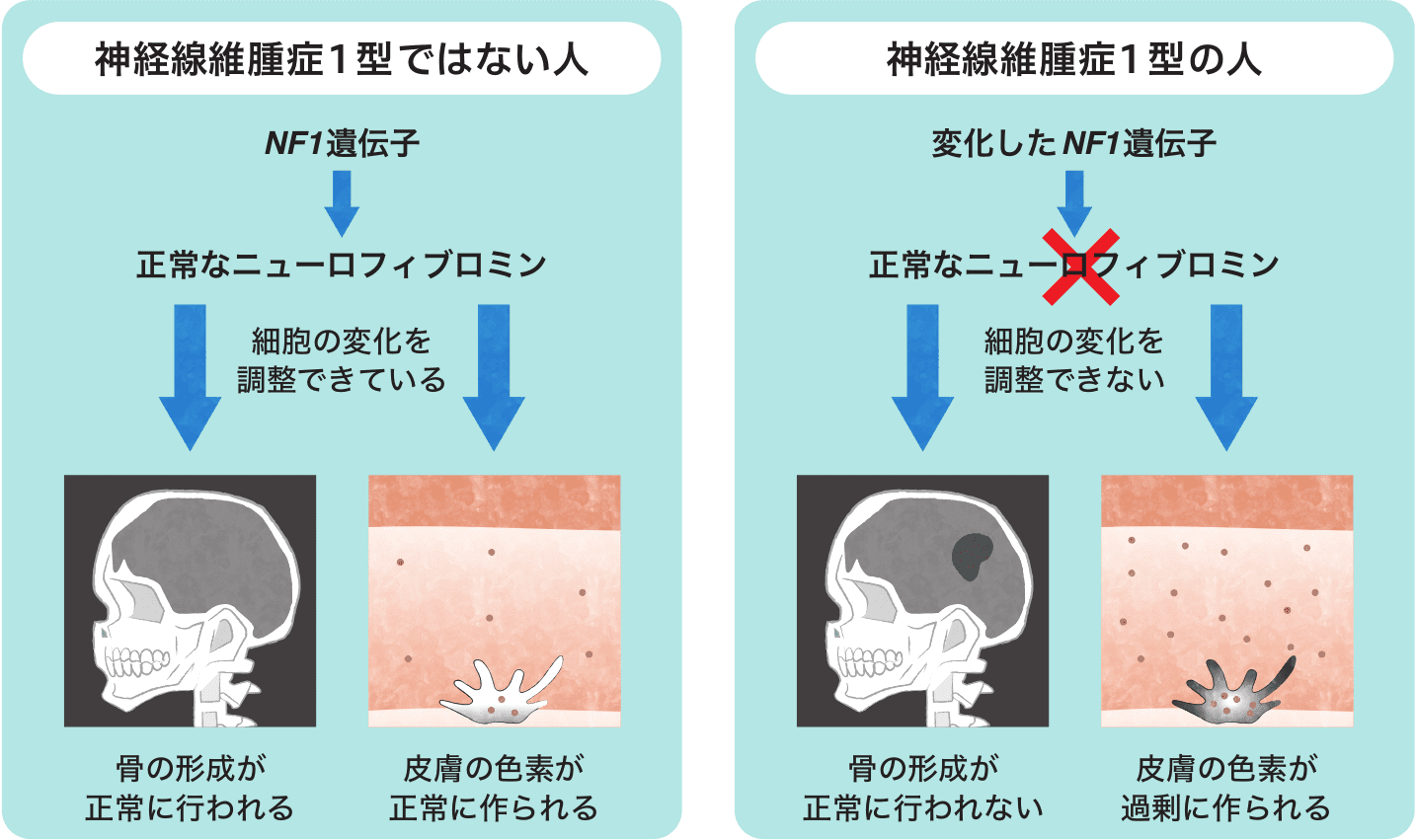 黒柳徹子の恋人 ピアニストのワイセンベルクさんとは一体誰！？: アットホームネット