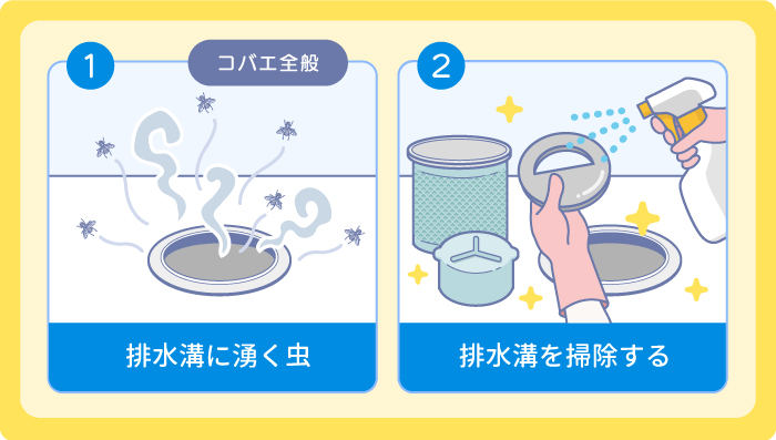 生ゴミに発生する小さい虫の正体は「ショウジョウバエ」効果的な駆除方法・予防法をご紹介