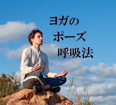 シャヴァ・アーサナって、どうして必要なのでしょう？ : yoggy magazineyoggy air ヨギー・エアー