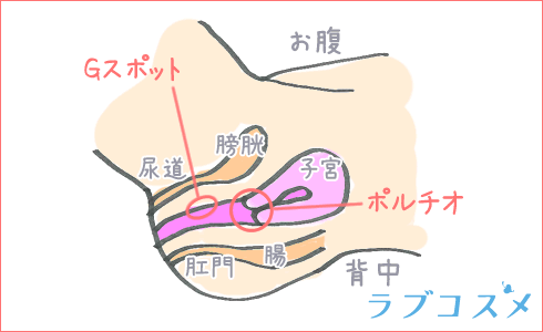 三次元GIF】騎乗位セックスの動くエロ画像 Part.4 30枚 -