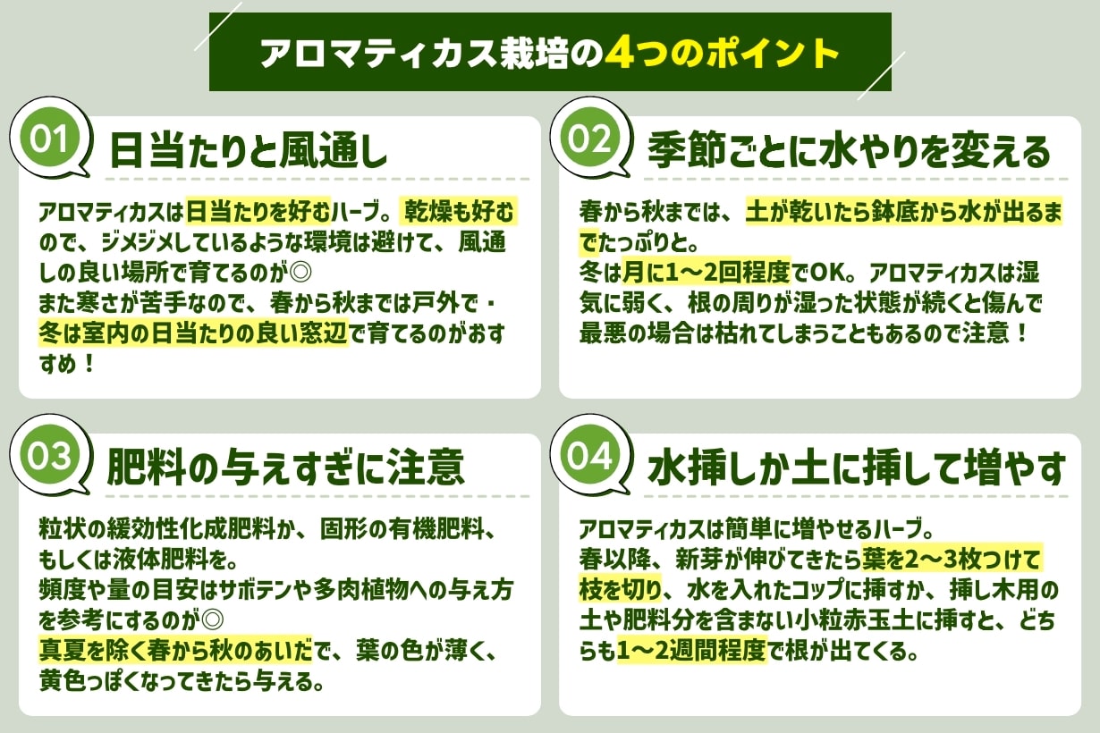 アロマティカスの育て方基本の栽培方法や日々のお手入れのコツ、増やし方植物とあなたをつなぐPlantia