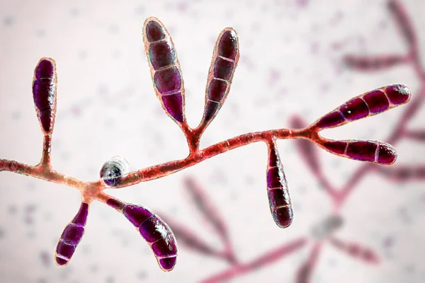 顕微鏡アクセサリーキット 9 LCDスクリーン付き爪郭毛細血管微小循環HD 1000X顕微鏡血液観察統合マシン 顕微鏡スライド 顕微鏡アクセサリーキット7 LCDスクリーン付き爪郭毛細血管微小循環HD 1000X顕微鏡血液