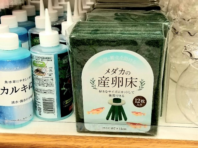 100均で揃うアクアリウムグッズを紹介！ ダイソー・セリア・キャンドゥアクアリウムを楽しもう