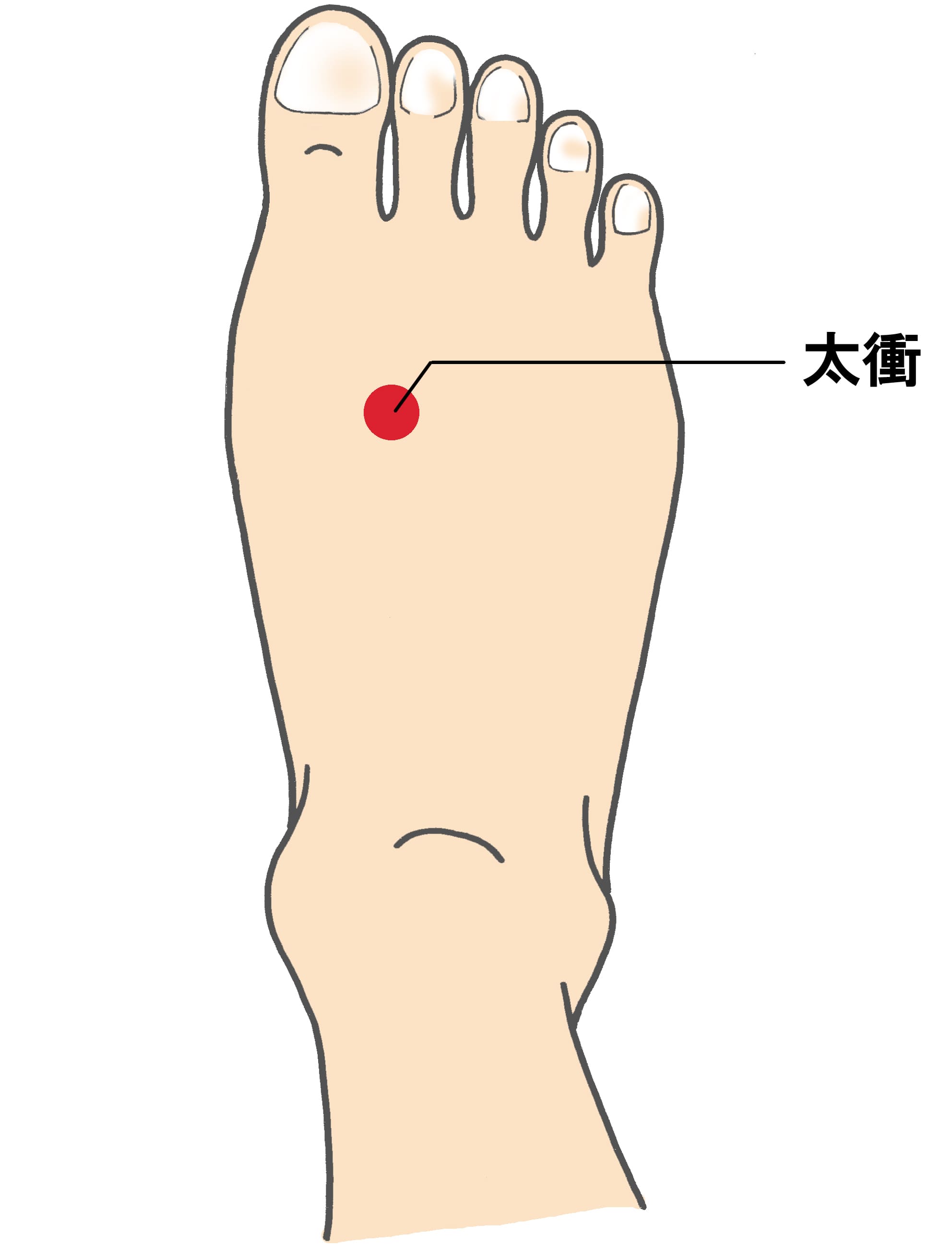 楽天市場 高齢 者 足 の むくみ マッサージ 機の通販