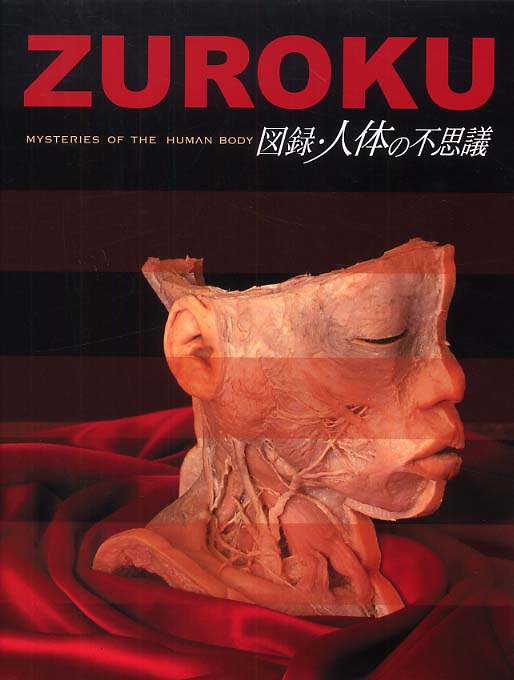 人体標本展を中止、拷問死した中国人の可能性 スイス 写真1枚 国際ニュース：AFPBB News