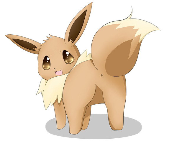 問題です🌟, どっちが頭でどっちがおちり⁇, これはすぐにわかっちゃうかな🙄,どっちが頭でどっちがおちり ,トイプードルトイプーデカプーデカプー大好き犬いぬすたぐらむふわもこ部犬のいる暮らし愛犬癒しわんこモフモフおパンツカットtoypoodletoypoodlelovetoypoodlegramdogdogstagram