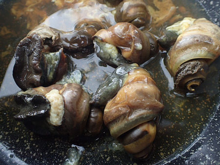 広東住血線虫症