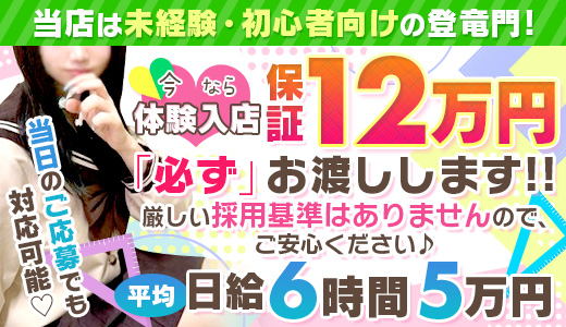 柏のクレジット利用可風俗ランキング｜駅ちか！人気ランキング