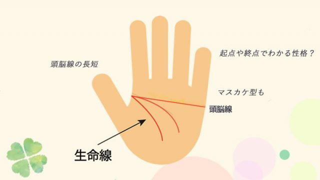 頭脳線 知能線 に島がある時、手相家はどう見るのか - 手相の見方大事典テソペディア
