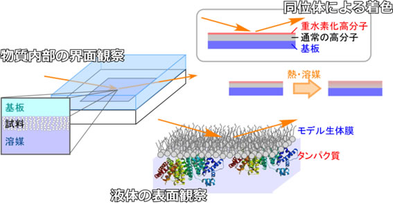 分光アプリケーション：水の透過率スペクトル測定テクノシナジ