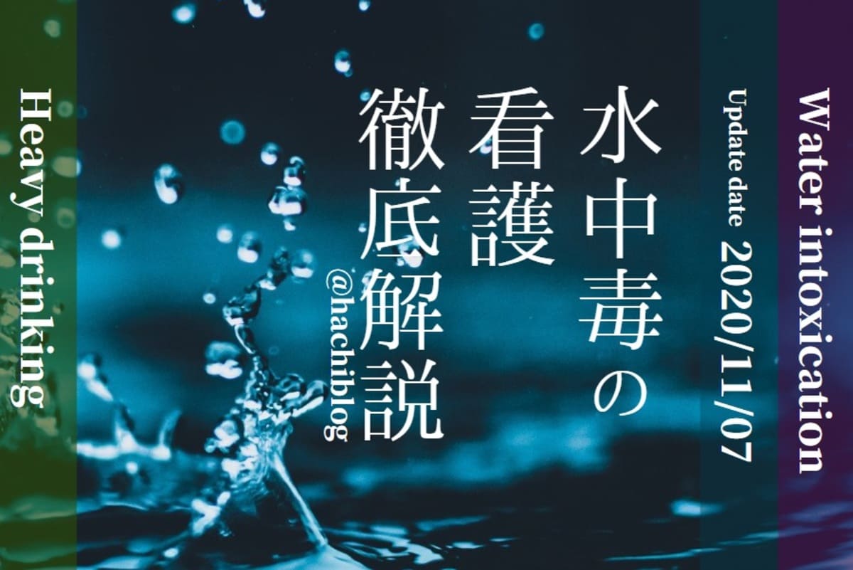 実習に役立つ看護計画1-4プチナースWEB