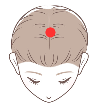 ツボ「風池」 - 妙蓮寺ゆう鍼灸院 東洋医学ブログ