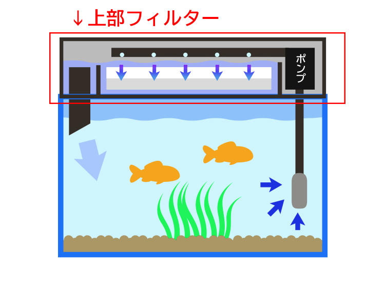 全種類一覧！水槽用フィルター・ろ過器 水中ポンプ の選び方と各特徴。QUBE キューブ