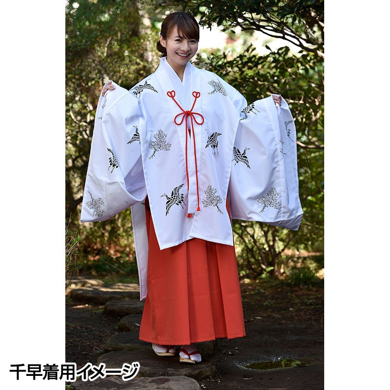 白衣の若い女性 医者・研究者・科学者イメージ写真素材5645689- フォトライブラリ