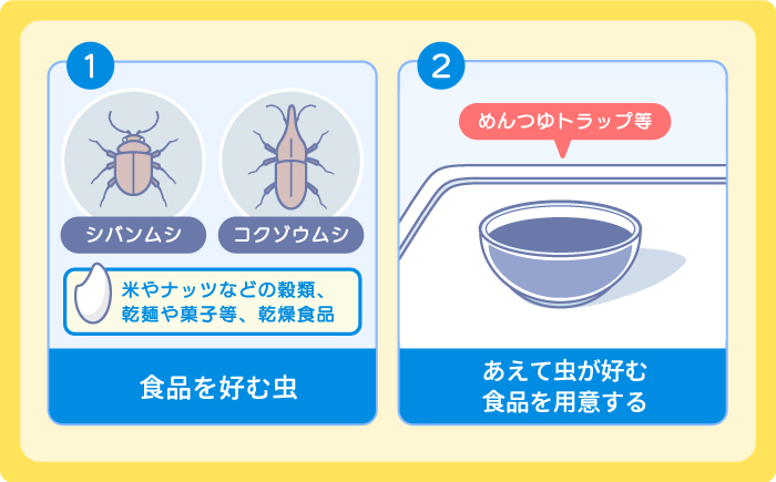多治見市 コバエ対策