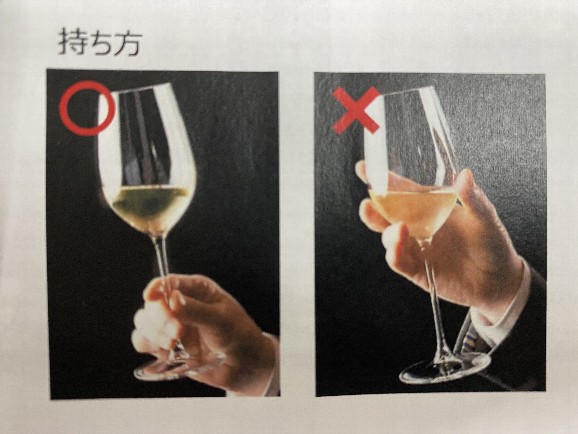 ワイングラスの正しい持ち方・乾杯方法 ？！ ちょっと豆知識│テンポス立川店ブログ│テンポスホールディングス