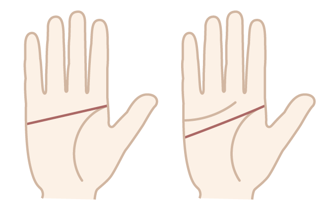 感情線とは？感情線の見方３選やばい感情線も紹介
