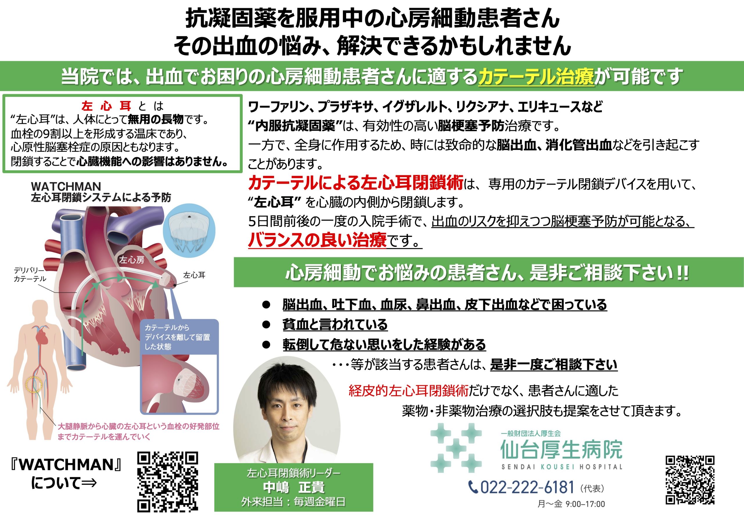 Amazon.co.jp:人間のアテローム性動脈硬化症の心臓血管モデル、内臓の解剖学的モデル、10倍の人間の動脈のアテローム性動脈硬化症と血栓症のモデル、医療教育用品 :Industrial & Scientific