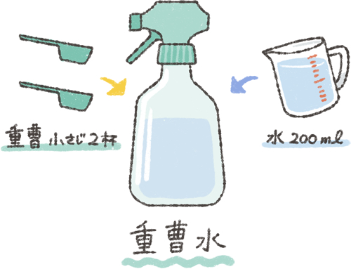 重曹タンサン共立食品の口コミ - ＼体をアルカリ性にする＼重曹クエン酸水の作り方byasari＊老化に抵抗しつづける40代 乾燥肌 40代後半LIPS