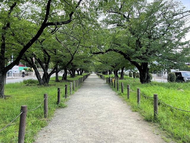 新駅も開業！福岡の難読地名・雑餉隈（ざっしょのくま）の住みやすさをご紹介【アットホーム タウンライブラリー】