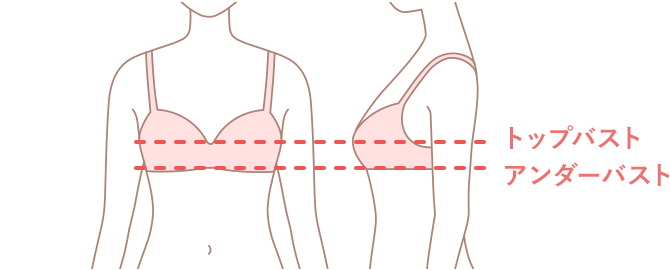 下着屋でバストのサイズを測ってもらう方法アンテ バイ アンテシュクレ アトレ川崎店下着の専門店アンテシュクレ intesucre 公式ショップブログ