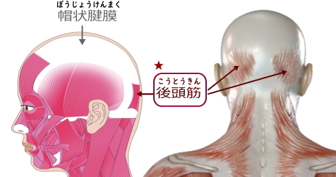 ギアスパ 頭皮と顔の連動スパ