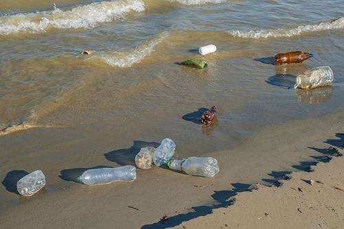 プラスチックによる海洋環境汚染 Marine Pollution by Plastic Debris プラスチック情報局一般社団法人プラスチック循環利用協会