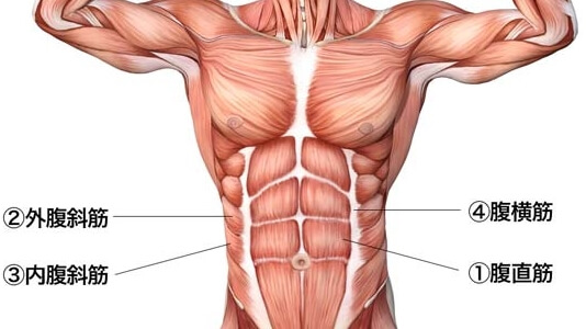 ろばーと 100日で体脂肪率-7%達成@aky_training100X