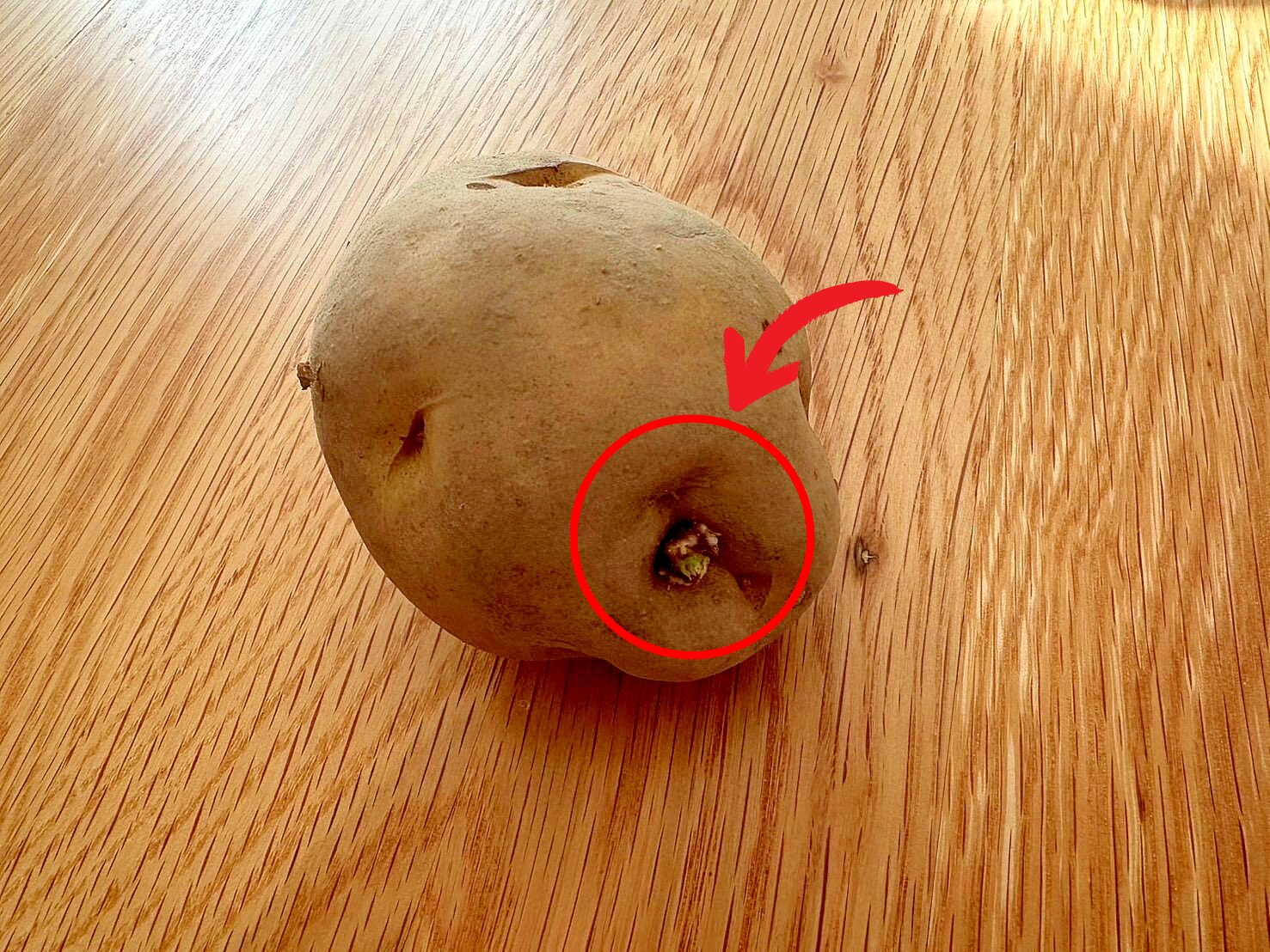 普通のじゃがいもとどう違う？新鮮な新じゃがの見分け方と長持ちさせる保存方法季節の食材のHOW TOアマノフーズ公式ブランドサイト