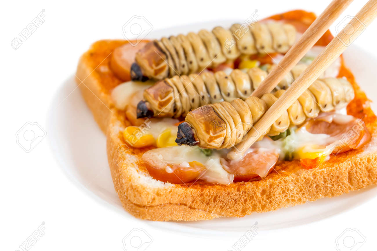 昆虫食界の珍味 食用カブトムシの味やおすすめ通販サイトをご紹介│FoodTechHubフードテックハブ