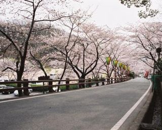 太陽公園 入園料クーポン- いわ ユニバ情報