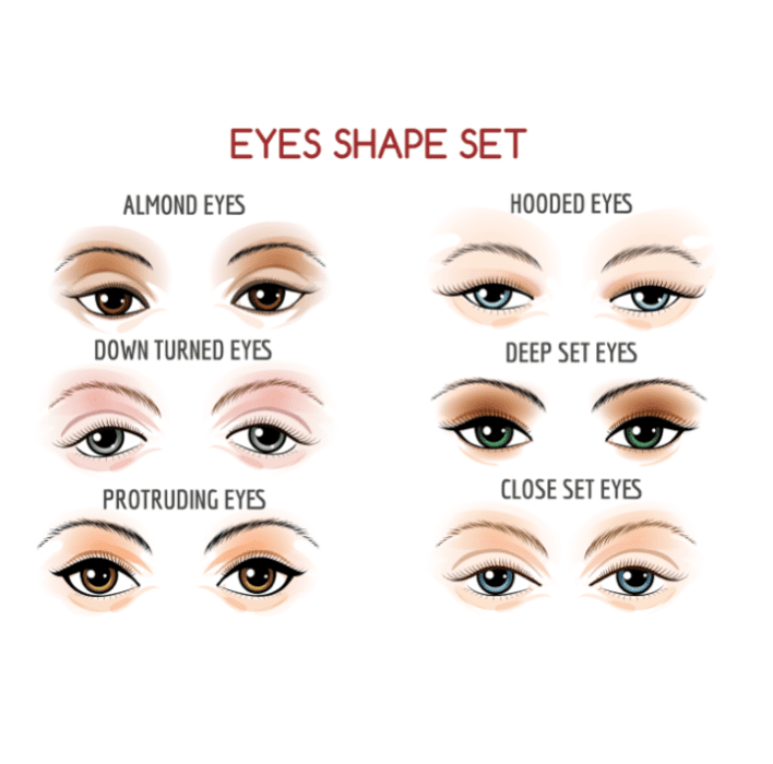 目の形SmartBuyGlasses JP