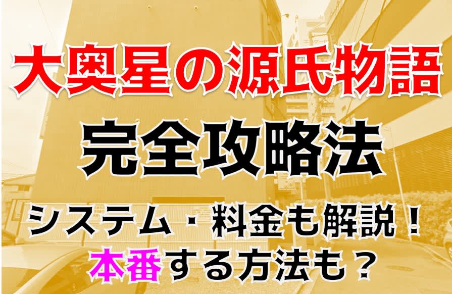 公式】大奥 星の源氏物語の男性高収入求人 -