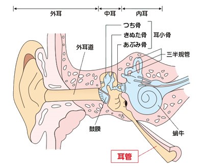 鼻涙管狭窄症・閉塞症相模原市の訪問眼科こうのクリニック