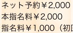 風俗の指名と本指名の違いとは？本指名を増やすコツは？キャバクラと風俗の指名は違うの？｜風俗求人・高収入バイト探しならキュリオス