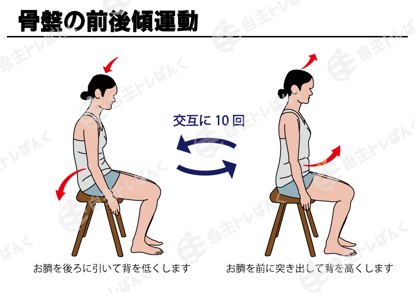 腹筋トレーニングは骨盤後傾が重要！骨盤前傾になる原因も解説滋賀県守山市・大阪本町の姿勢改善専門スタジオ「Be-Style ビースタイル 」マンツーマン、パーソナル指導