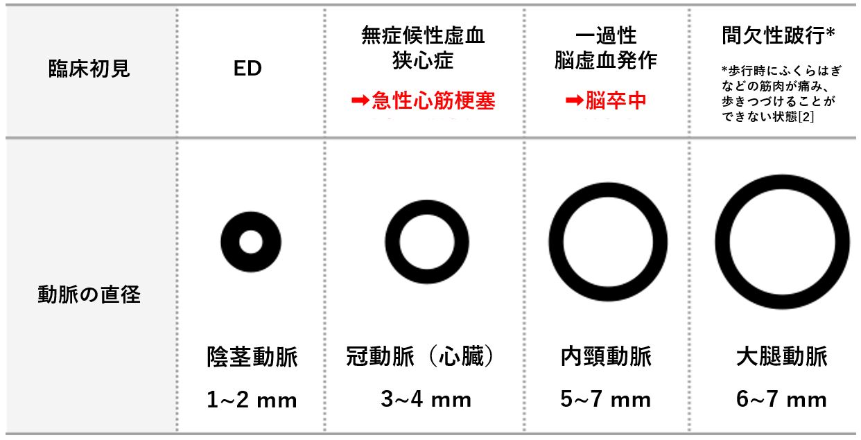 補助器具『早漏防止』『中折れ防止』『勃起力UP』根元をしっかり締めてサポート 直径30-35mmの方にお勧め 内径18mm『送料無料』『新品』｜代購幫