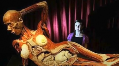 日本のマスコミが報じない中国共産党政府の死体ビジネス・臓器狩り杉っ子の独り言