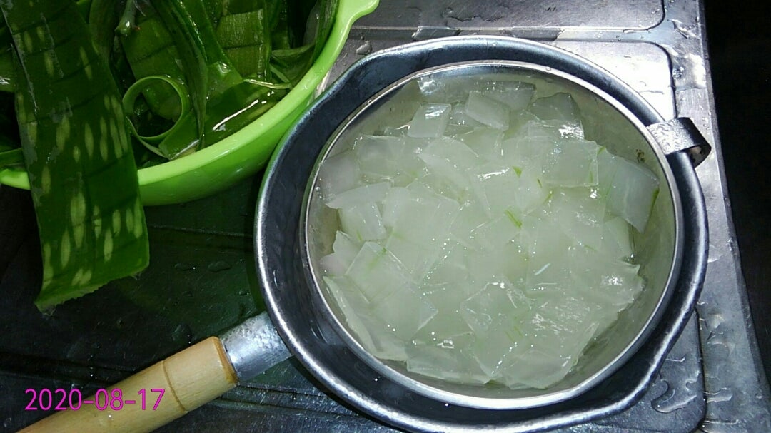 アロエ Aloe ツルボラン科 Asphodelaceae