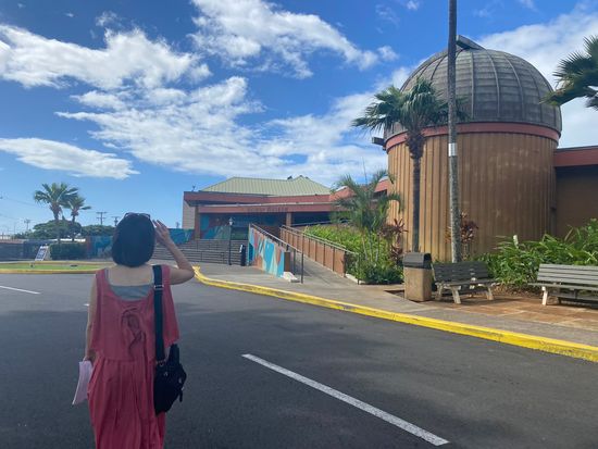 Cheese Brie Sandwich - Restaurant Bueno