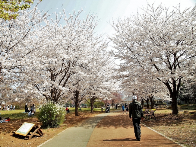 西東京いこいの森公園 施設情報 | アムティック株式会社