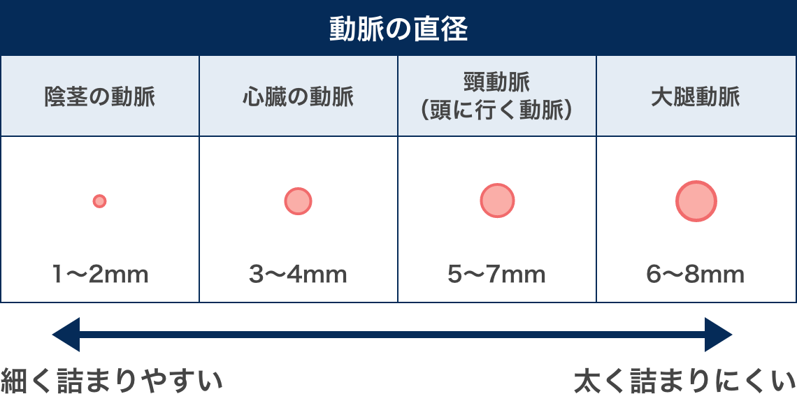 ペニスの大きさ平均は13cm！女性の理想サイズはさらにデカい！？｜薬の通販オンライン