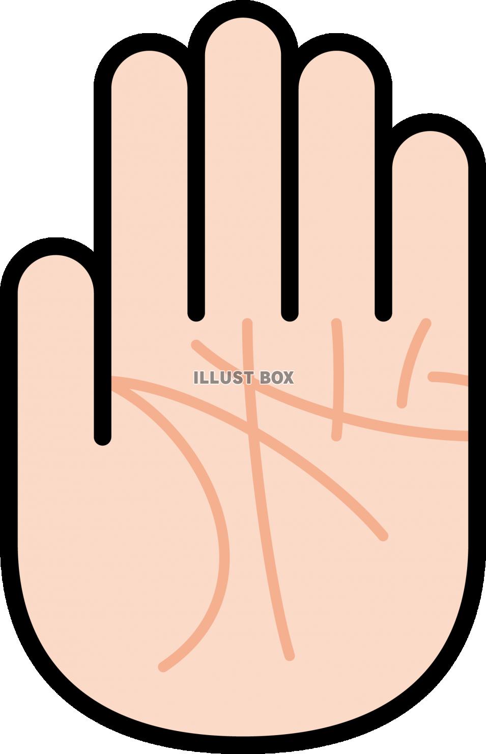 左手の手相 基本線 イラスト素材1757044- フォトライブラリ