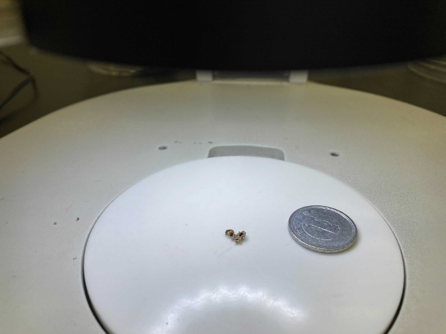 蜘蛛の糞掃除瑞雲寺だより