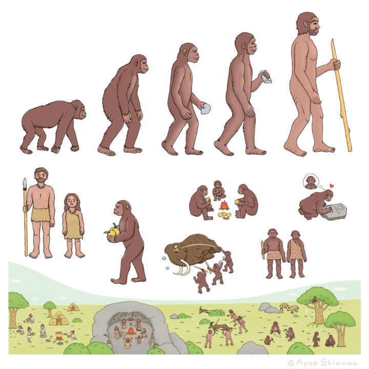 人間の進化 のイラスト