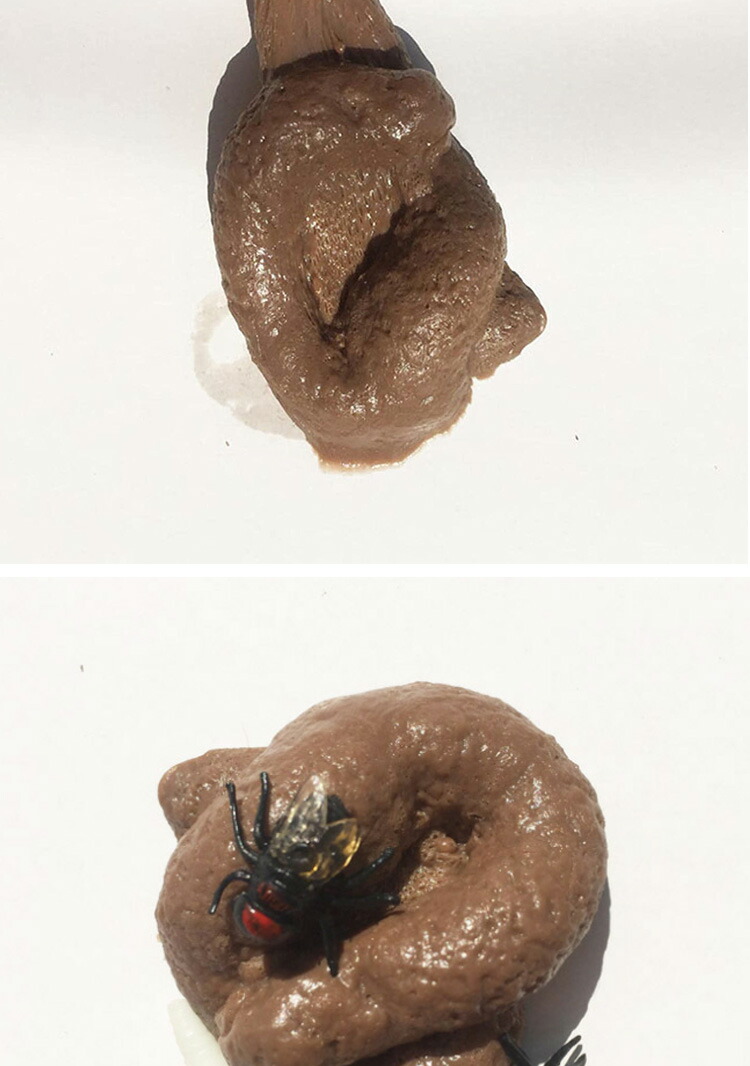 おもしろオーストラリア土産！本物が入ってる？ ウォンバットのうんこチョコゴールドコーストのオパール＆ギフトショップ