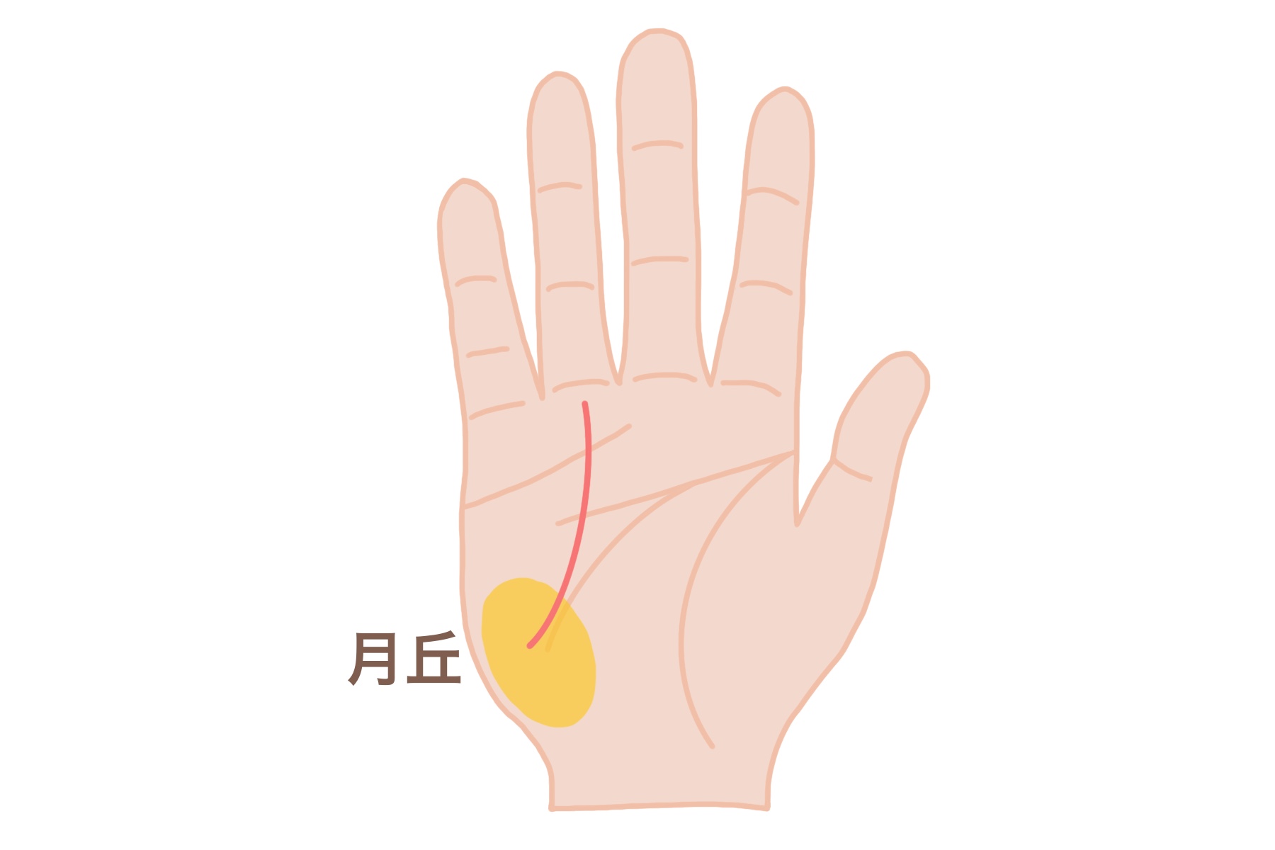 tesou_ya_fortun←過去投稿はこちら 今回は投稿を見ていただきありがとうございます‼ 今回は「ご先祖様強く守られる手相2選」をご紹介しました!!ーーーーーーーご先祖様強く守られる手相2選ご先祖様に 強く守られている人には どんな手相があるのか 今回は ご先祖