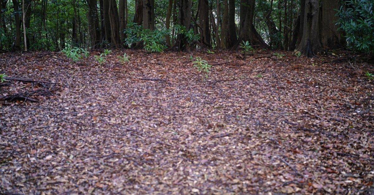 アフラ・マズダの写真素材 - PIXTA