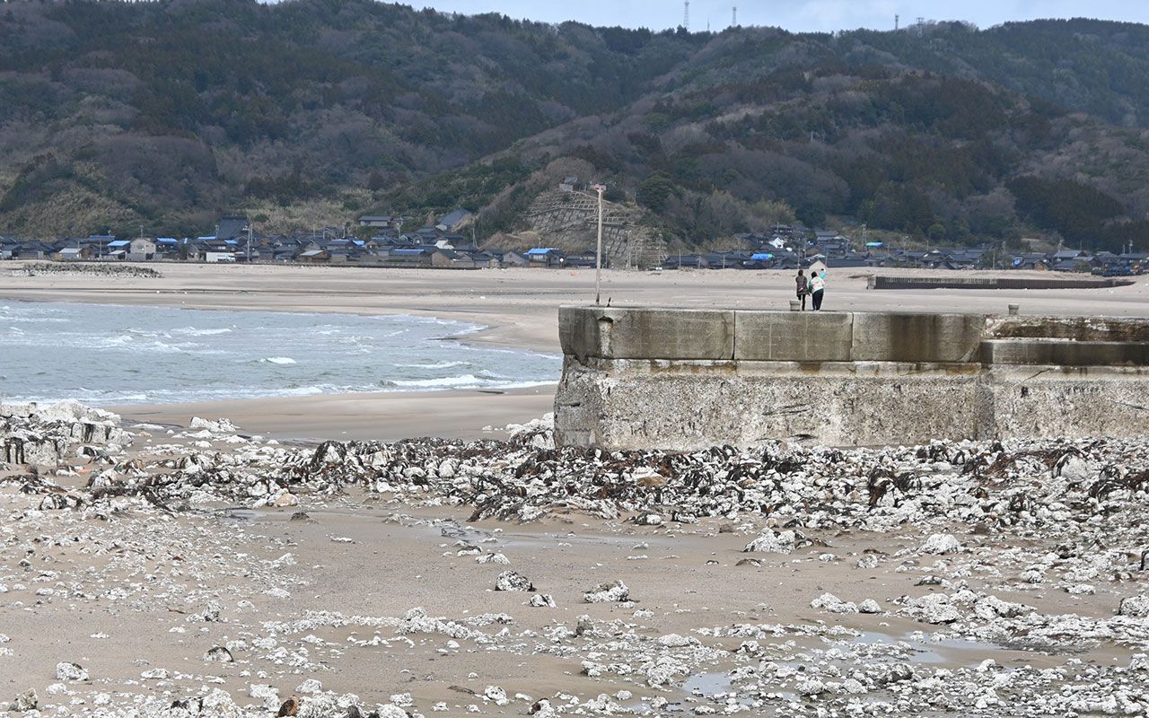 最新】能登/輪島の激安・格安デリヘル おすすめ店ご紹介！｜風俗じゃぱん