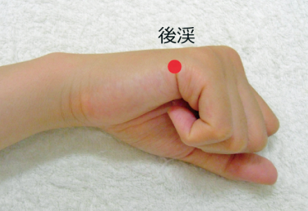 手のひらツボ療法 61rSE2mZlJL._AC_UL210_SR210